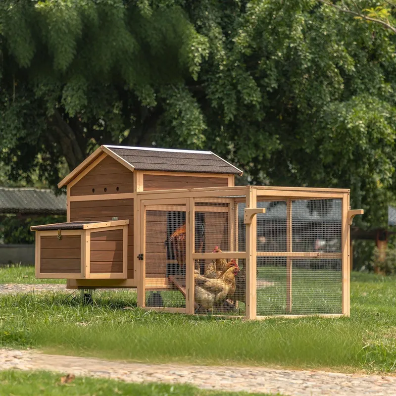 Large Sustainable Wooden Chick - Sustainable Living Walla Walla recension och pris